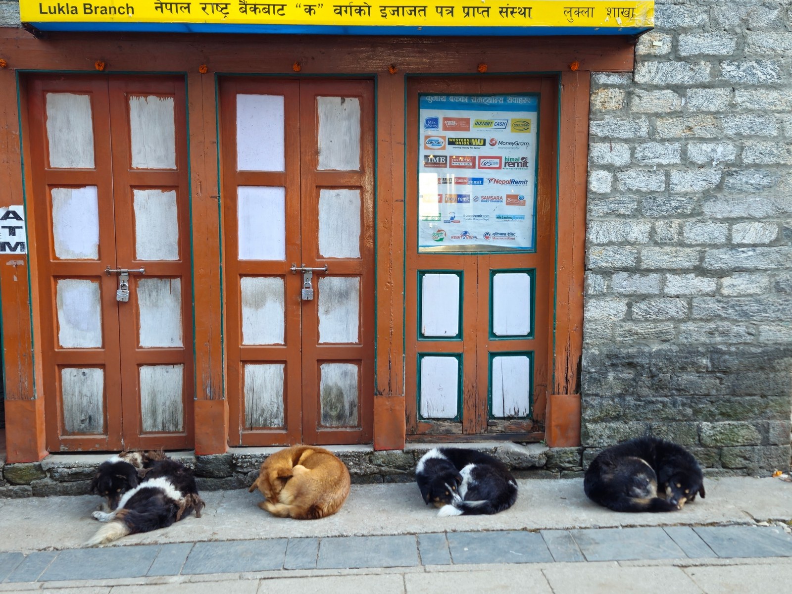 Five dogs sleeping outside a closed bank in Lukla, Nepal