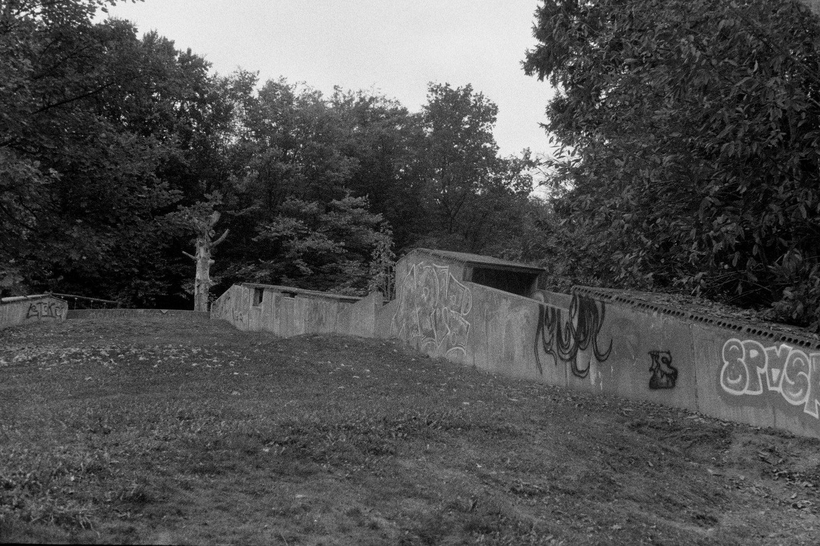 Graffiti-covered concrete walls surrounded by trees in Heuvelland