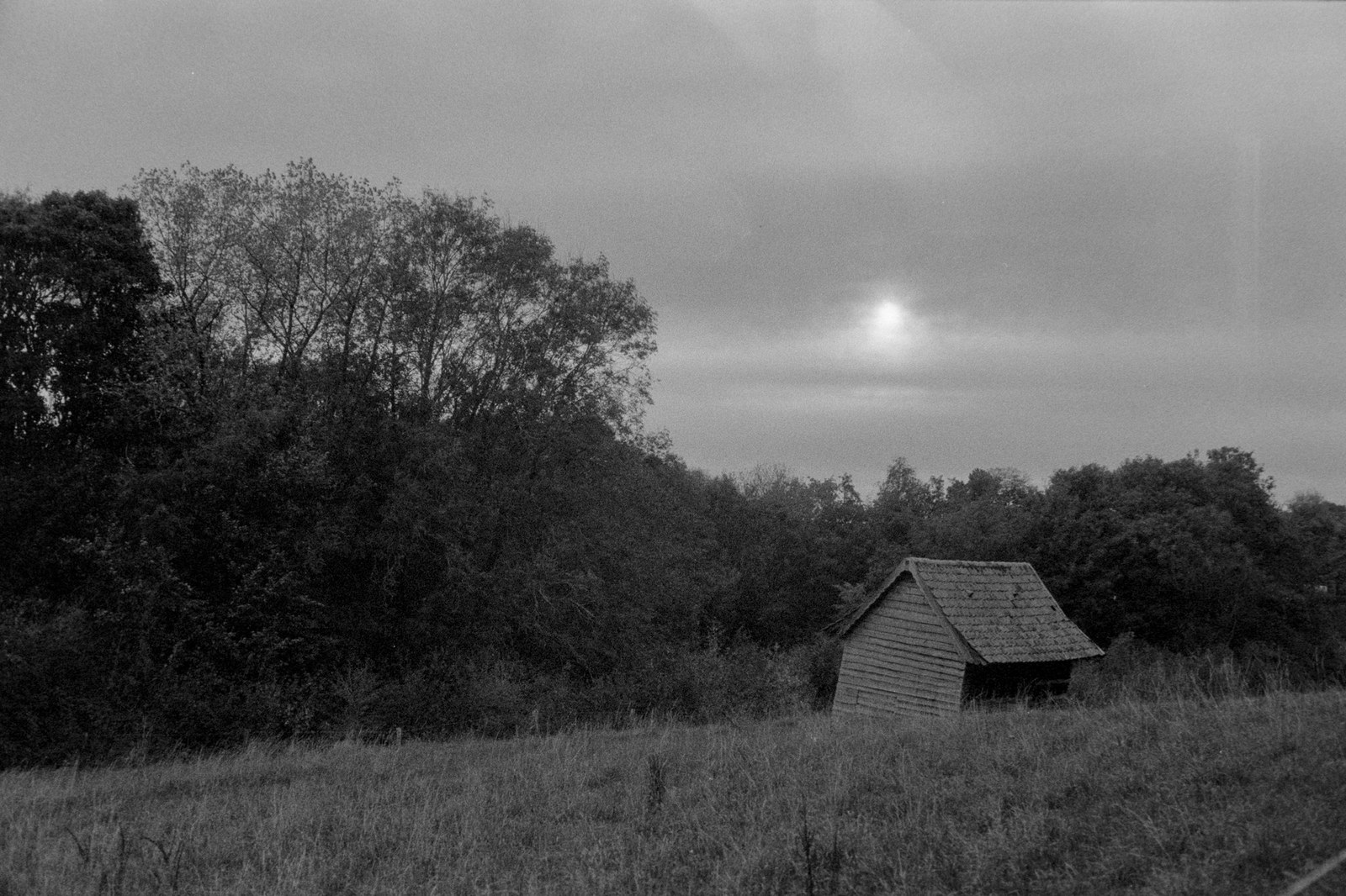 A small wooden shed in a grassy clearing beneath an overcast sky in Heuvelland